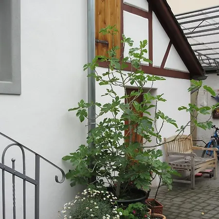 Historisches Abteistrasse * Mesenich