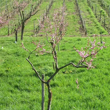 Ferienhaus Historisches Abteistraße