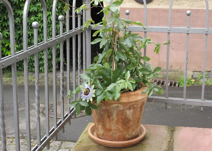 Casa de Férias Historisches Abteistrasse Mesenich