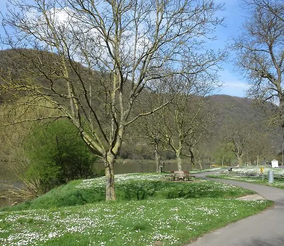 Casa de Férias Historisches Abteistrasse *