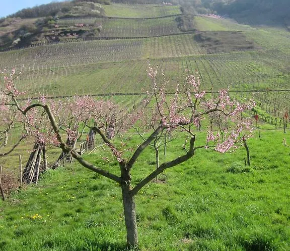 Casa de Férias Historisches Abteistrasse Mesenich